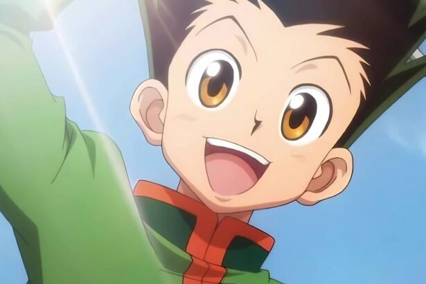 Hunter x Hunter Vai Voltar? Rumores, teorias e atualizações do anime